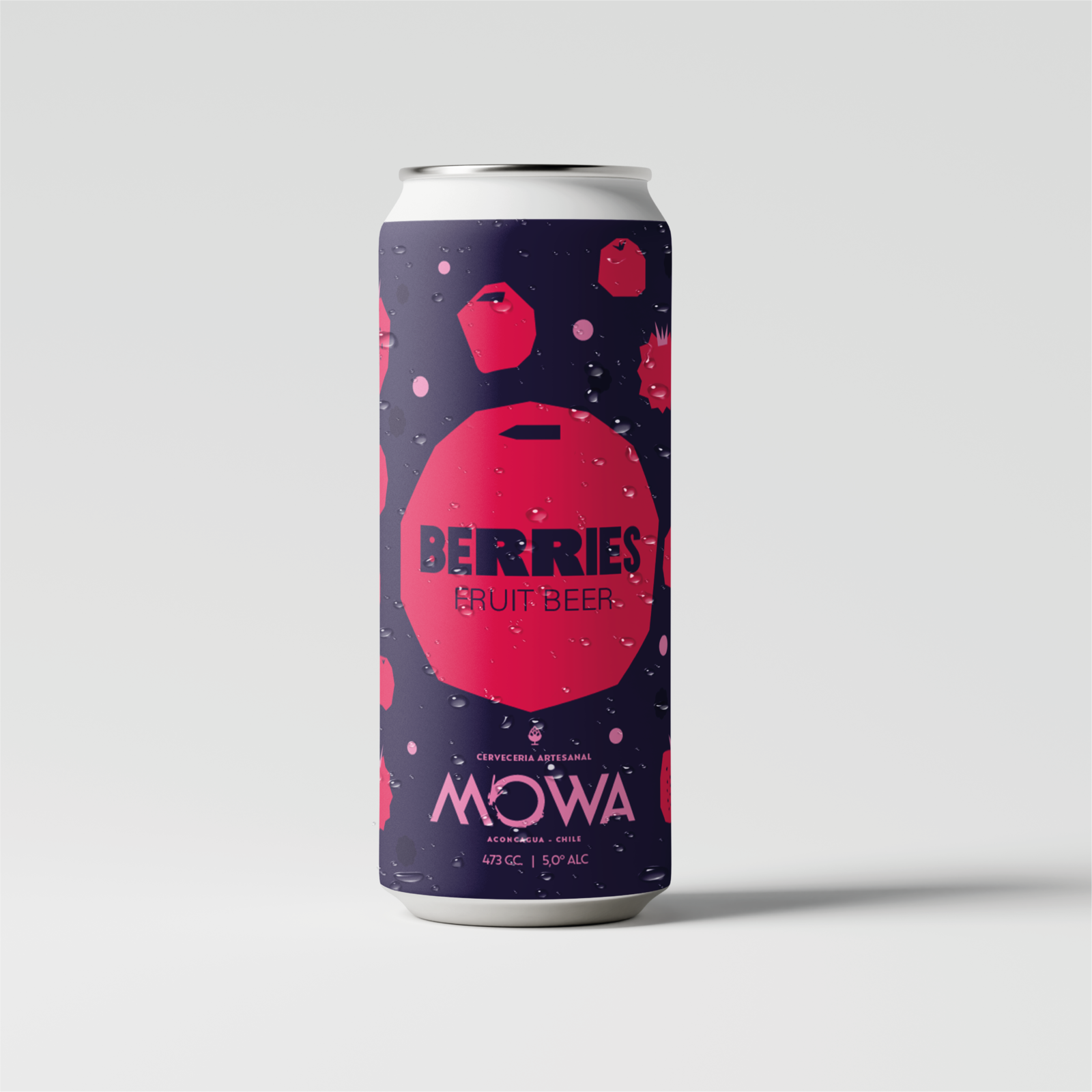 Berries - FRUIT BEER