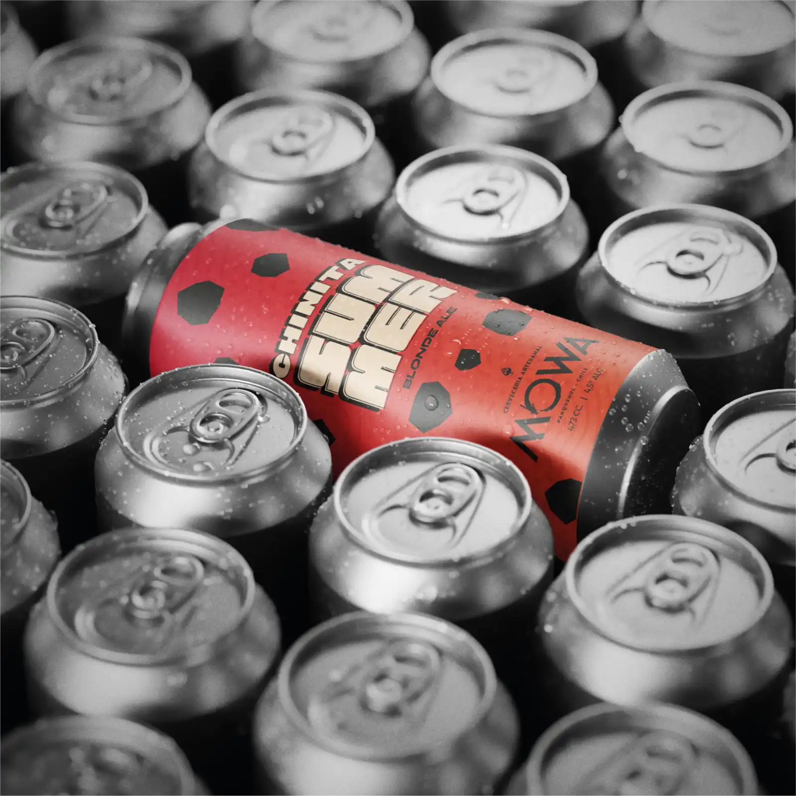 CHINITA - SUMMER BLOND ALE