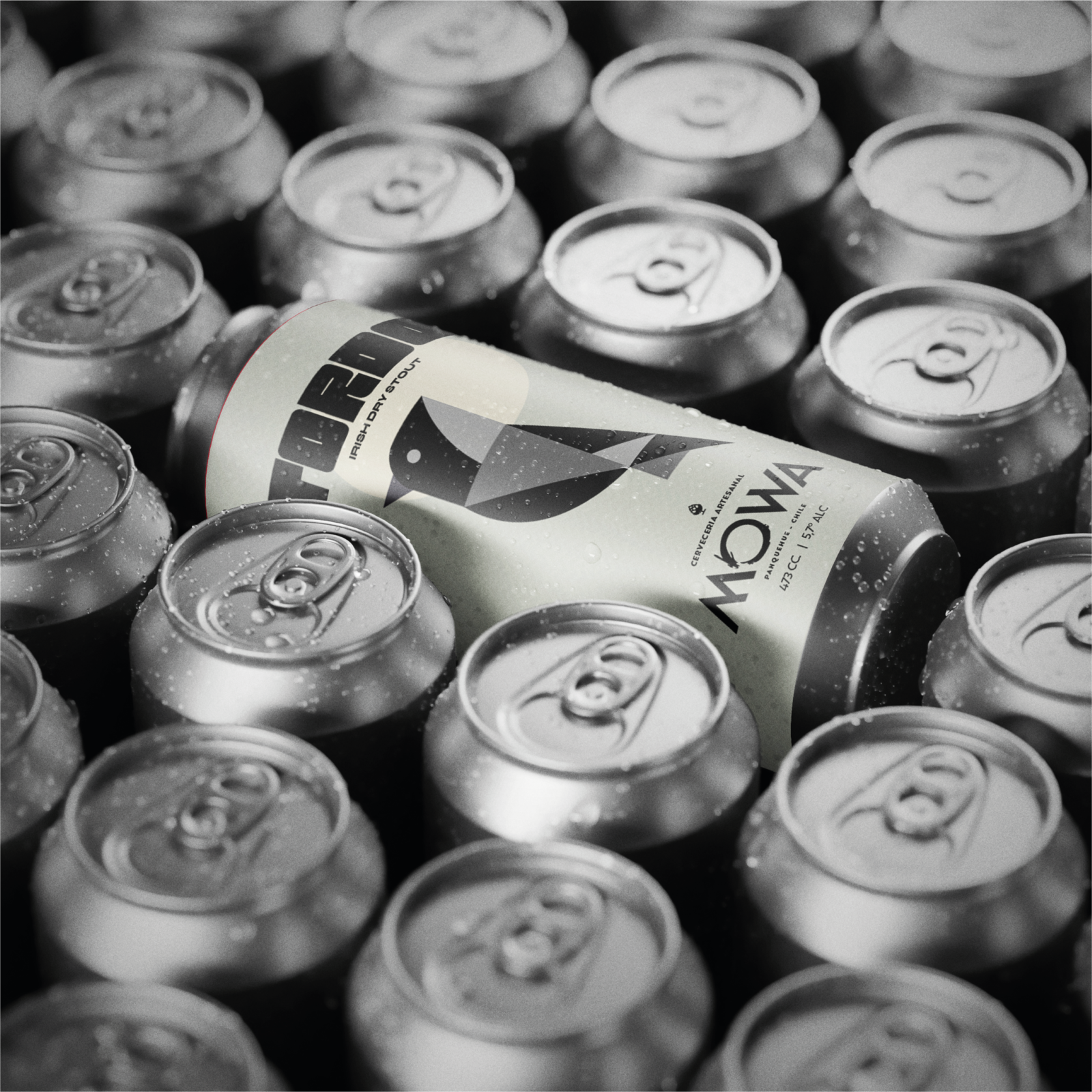 TORDO - IRISH DRY STOUT