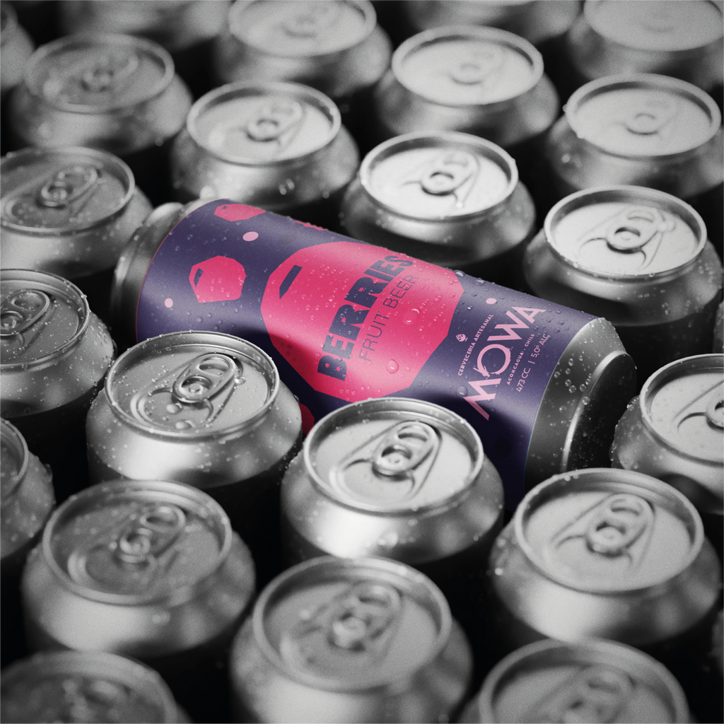 Berries - FRUIT BEER