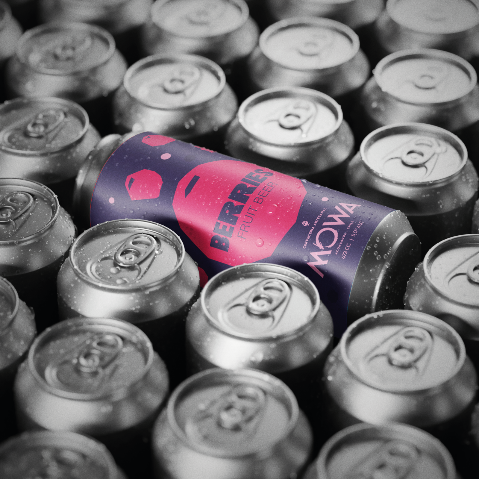 Berries - FRUIT BEER